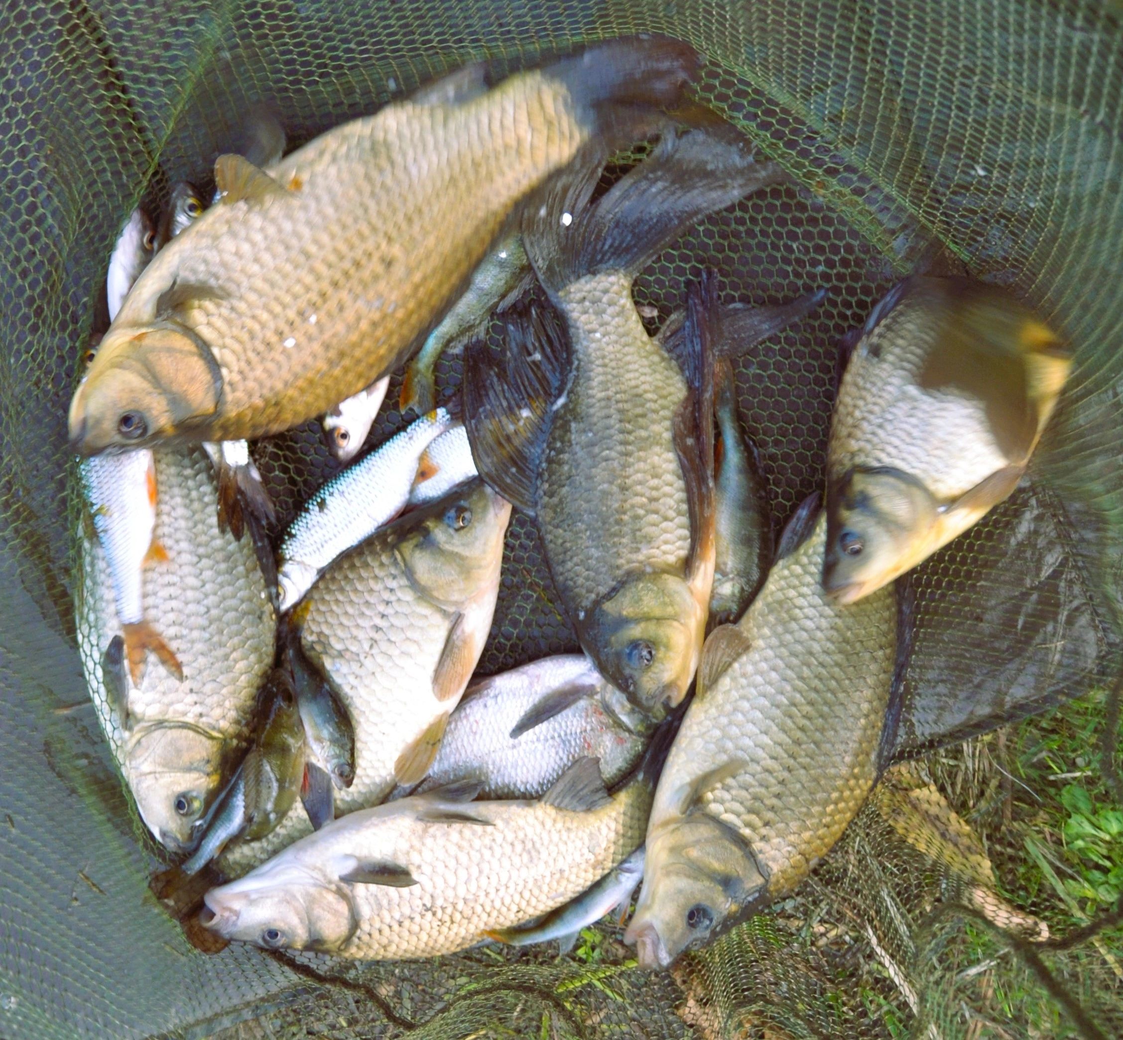 SLOW FISHING TODAY