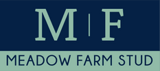 Meadow Farm Stud