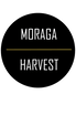 Moraga Harvest