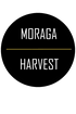 Moraga Harvest