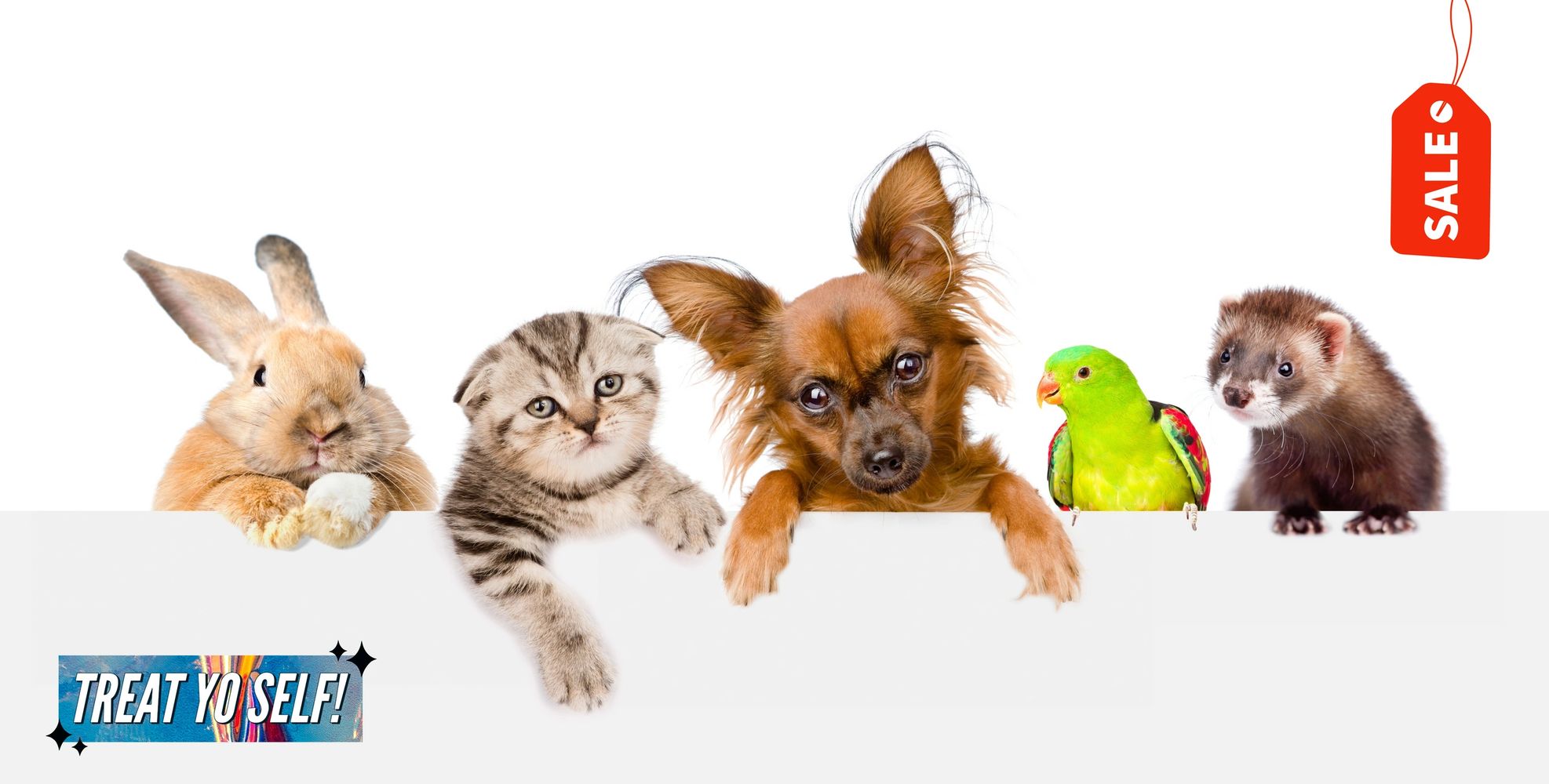  Pet Store, Pets Online Shopping 