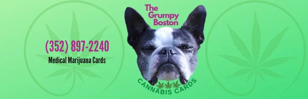 Medical Marijuana Doctor in Crystal River, Florida - The Grumpy Boston LLC