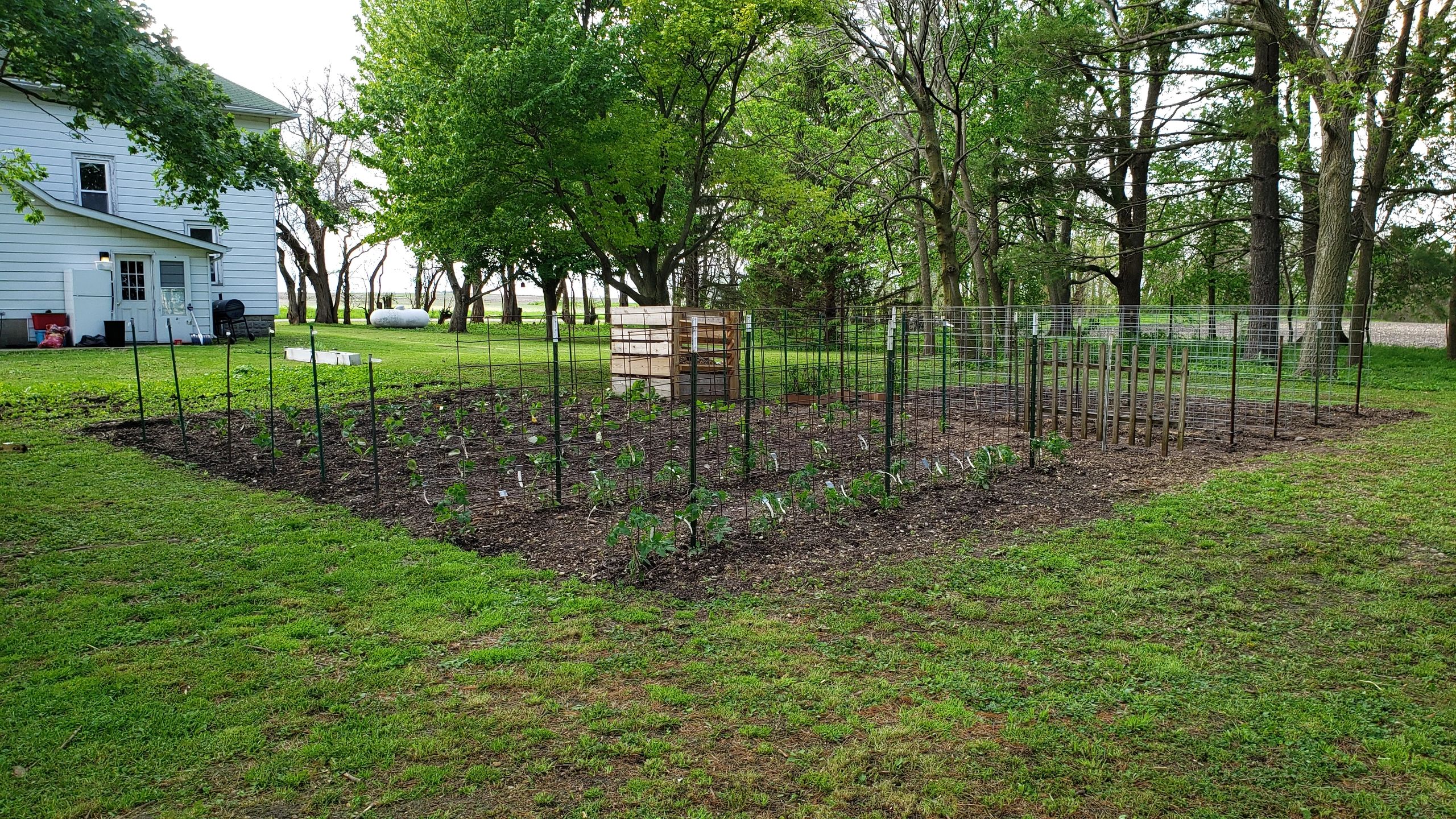 Ants in my Compost?!?!?! Are They Good or Bad?