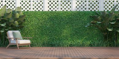 Back yard bushes and plants perfectly edged and trimmed by rlr landscape and tree services