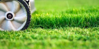 One of our passionate employees mowing the grass of a green garden 