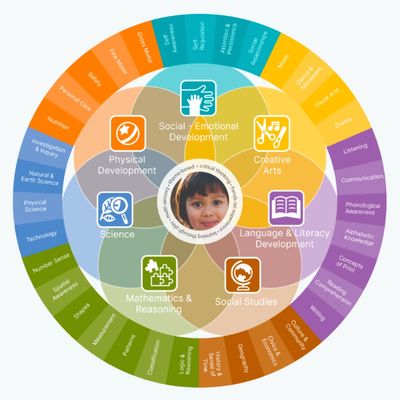 Curriculum wheel