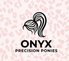 Onyx Ponytails