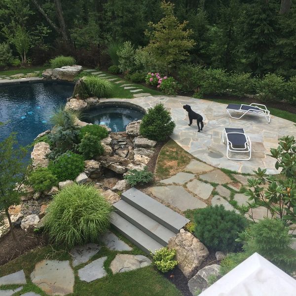 Black dog by pool and lounge chairs in garden.