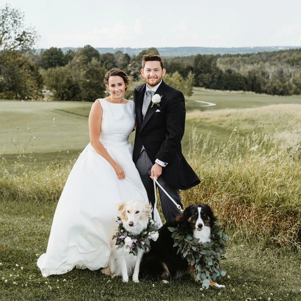 Bride and groom with two dogs dressed for a wedding who have been brought by the dog chaperone