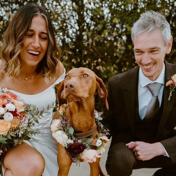 Grace and Chris with Barley on their wedding day
