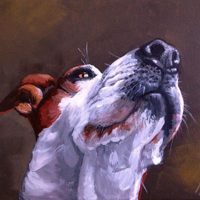 Painting white dog Jack Russell canvas by Jill Roberts pet portrait artist. Palm Desert, CA