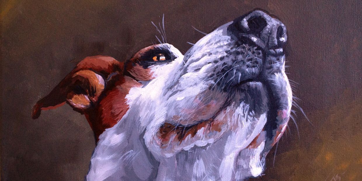 Painting white dog Jack Russell canvas by Jill Roberts pet portrait artist. Palm Desert, CA