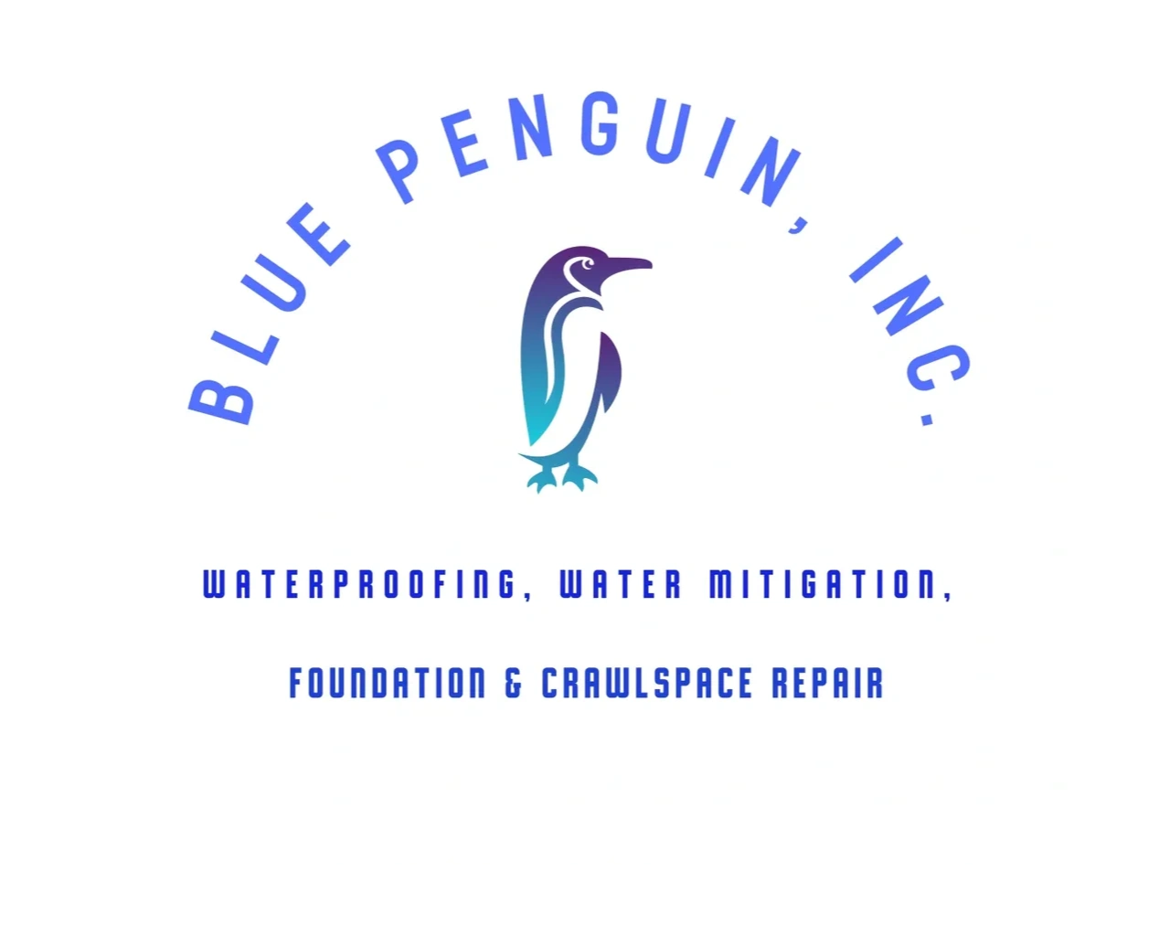 Blue Penguin Inc blue-penguin-inc