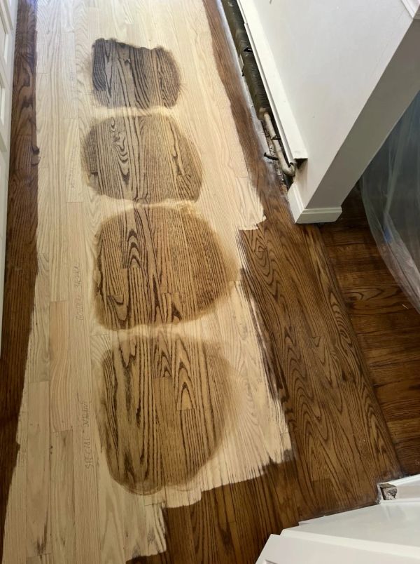 Hardwood stain samples tested on a sanded floor