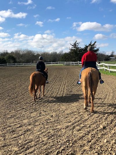 Two people riding horses in an open, fenced area under a blue sky.