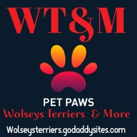 Wolsey's Terriers & More 