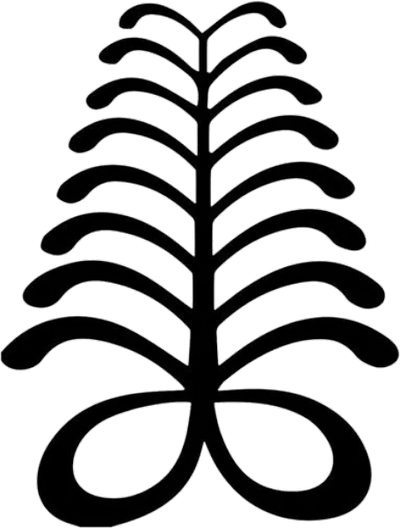 AYA -fern- symbol of endurance/resourcefulness, can grow in difficult places The Adinkra Dictionary