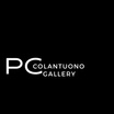 

 P.Colantuono
Fine Jewelry Gallery LLC
