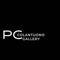 

 P.Colantuono
Fine Jewelry Gallery LLC
