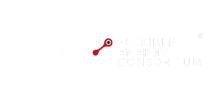 FLEXIBLE ENERGY CONSORTIUM