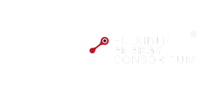 FLEXIBLE ENERGY CONSORTIUM