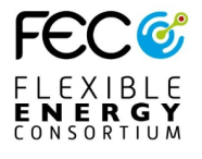 FLEXIBLE ENERGY CONSORTIUM (FEC).