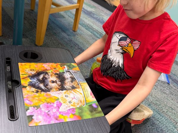 cute cat and puppy puzzle for a break