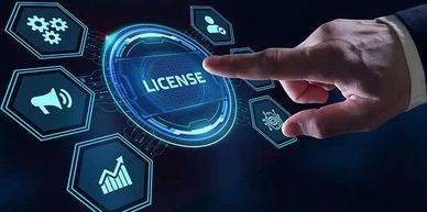 Licence Agreements Perpetual and Subscription SaaS