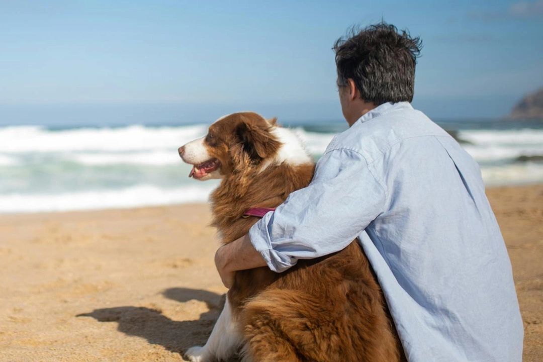 pawcremations.com