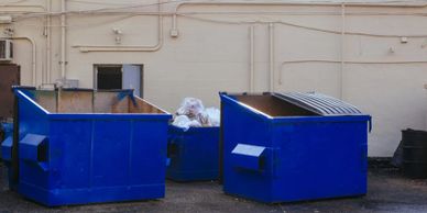 Dumpster Pad Cleaning