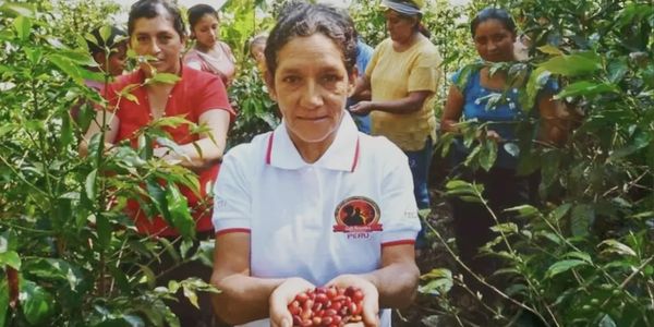 Coffee Farmers from Peru 