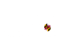 Tiffany Alston
