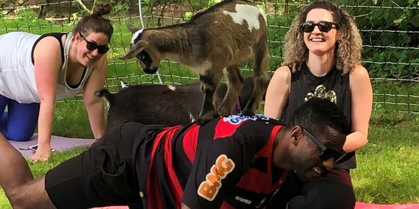 Goat For The Soul - Goat Yoga, Goat Cuddles