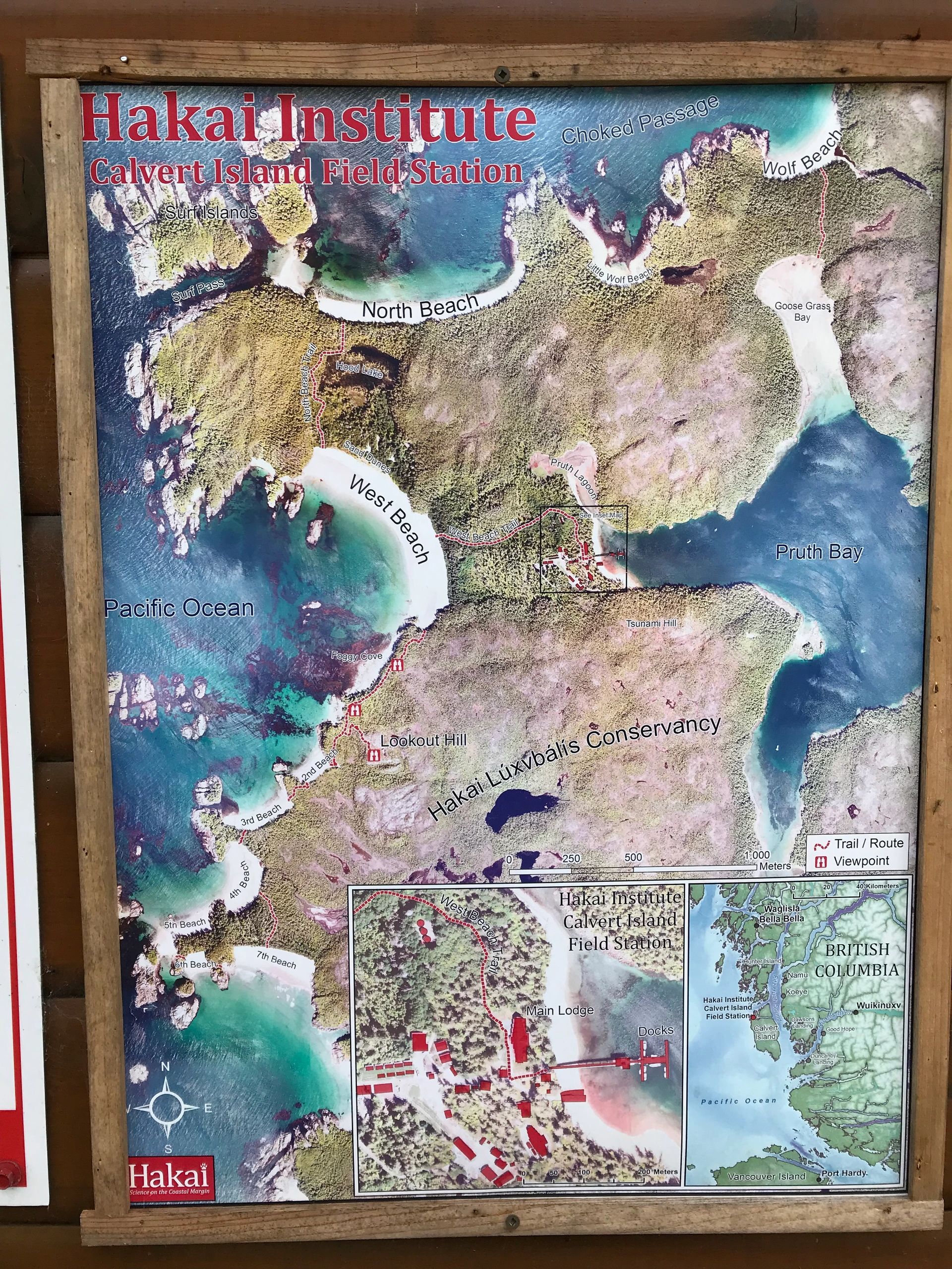 Oldest footprints in North America
