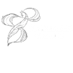 Ink and Ember Creative 