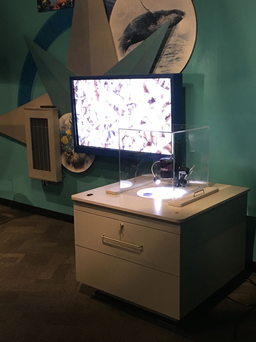 Interactive cabinets built for the Discovery Science Centers located in Orange County and Los Angele