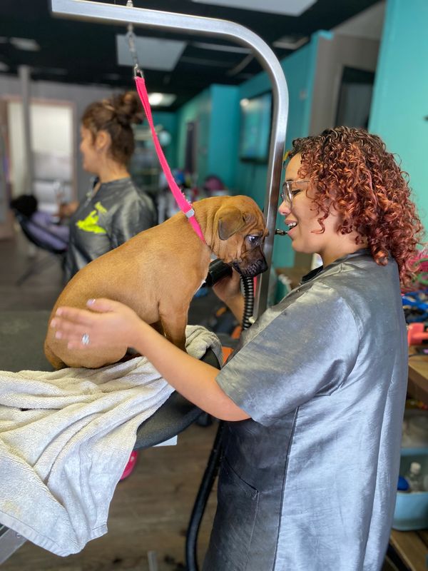 A puppy and his groomer in love. 