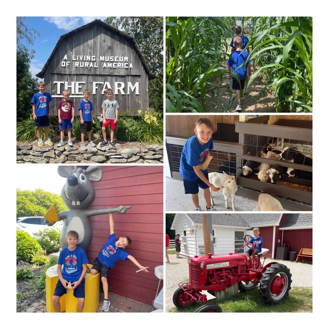 The Farm and Renards