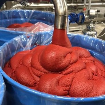 Aseptic Tomato Paste