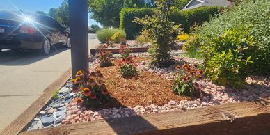 Sunlit suburban garden bed with blooming flowers and gravel borders.