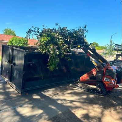 Small loader dumping tree branches into a large black container.