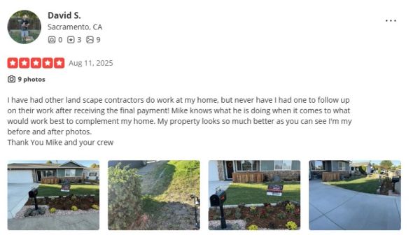 Before and after photos of a home's improved landscaping with fresh grass and plants.
