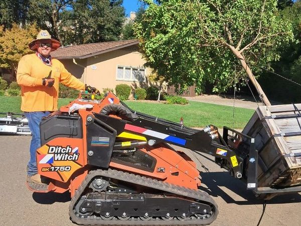 Man operating a Ditch Witch SK 1750 with a tree on the loader.