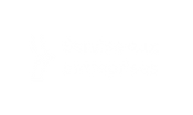 Formation Synapse