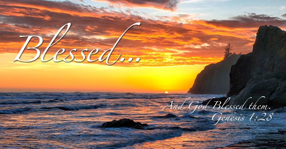 The Blessed Blog