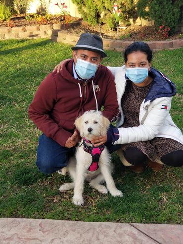 A couple wearing masks poses with their white dog in a garden.