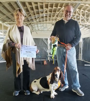 Who doesn't adore basset hounds? Especially when they have graduated from their Adult Level 1 class!