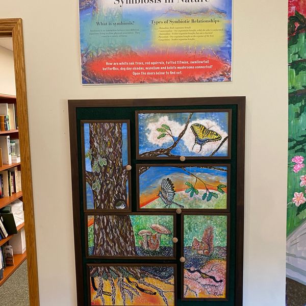 Interactive Display Symbiosis in Nature - Greenwood Furnace State Park