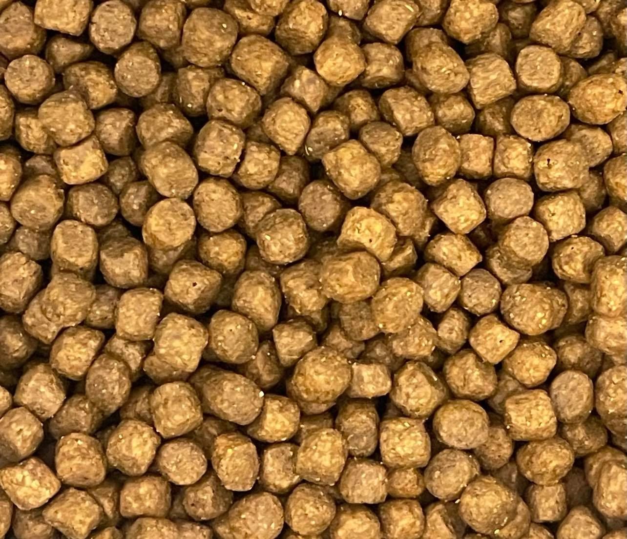 Never Store Kibble in Plastic Containers