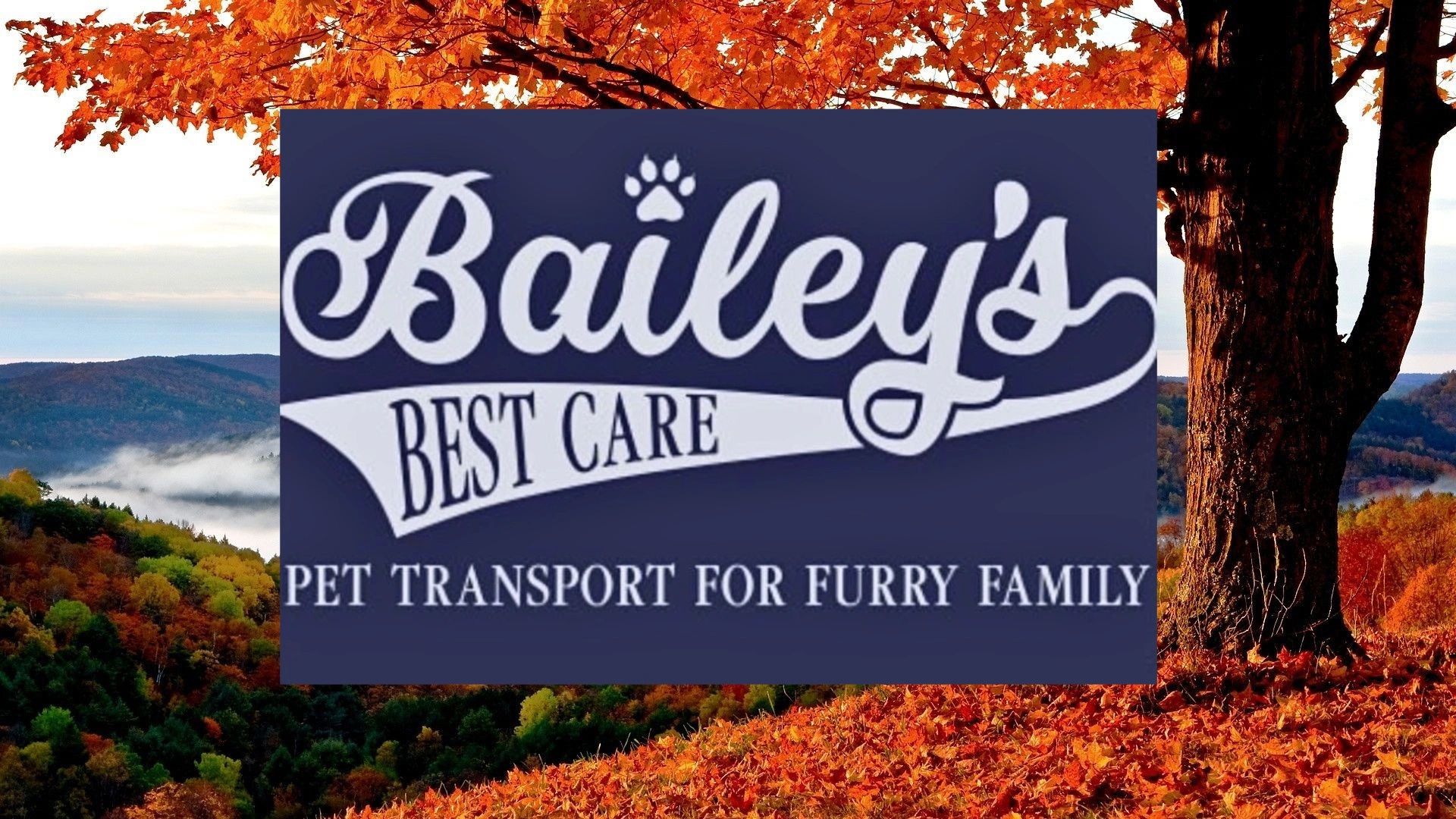 Bailey's Best Care Pet Transport Pet Transport, Pet Delivery